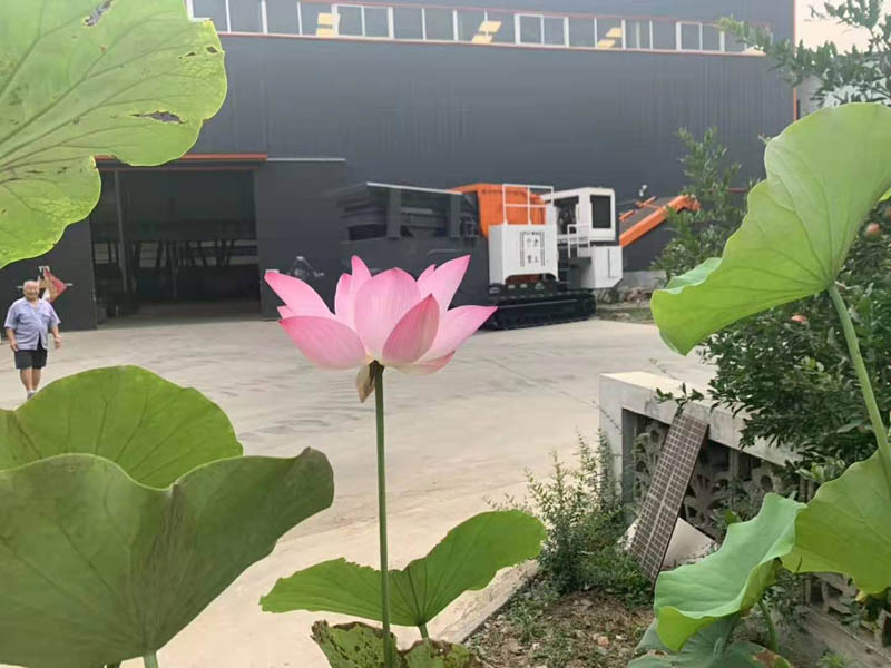 鵝卵石移動石子国产精品麻豆成人AV电影艾秋機